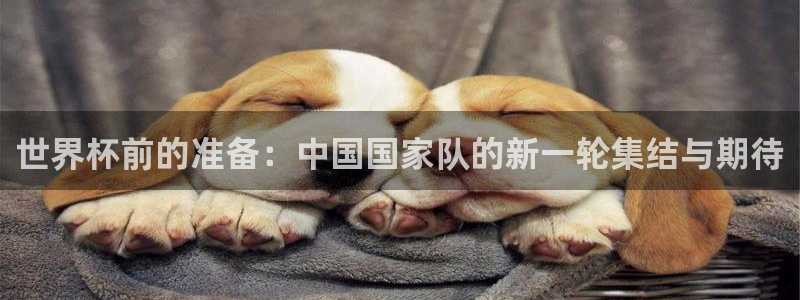 2026世界杯中国队：世界杯前的准备：中国国家队的新一轮集结与期待