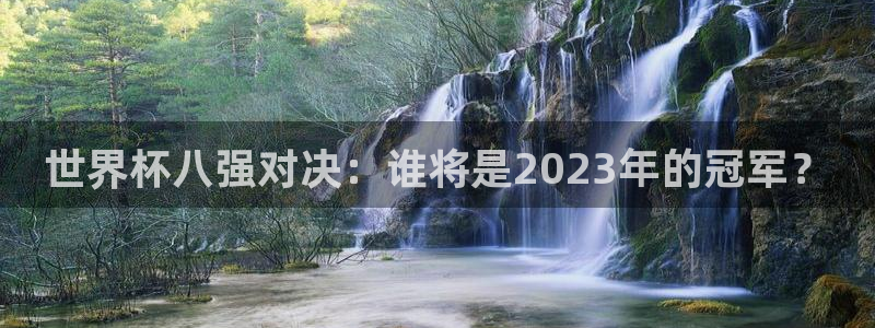 2026世界杯南美区积分榜：世界杯八强对决：谁将是2023年的冠军？
