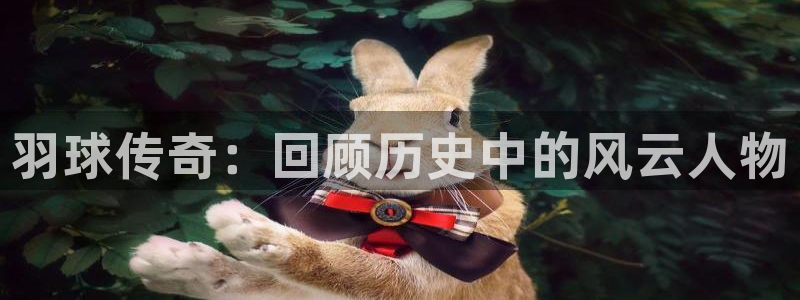 2026年足球世界杯赛程时间表：羽球传奇：回顾历史中的风云人物