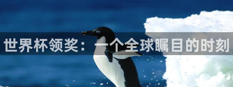 今天所有足球赛程表：世界杯领奖：一个全球瞩目的时刻