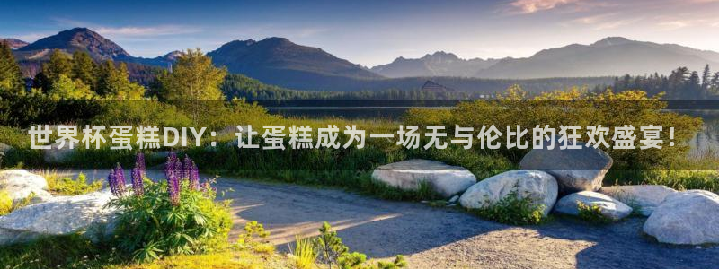 世界杯2026赛程时间表格：世界杯蛋糕DIY：让蛋糕成为一场无与伦比的狂欢盛宴！