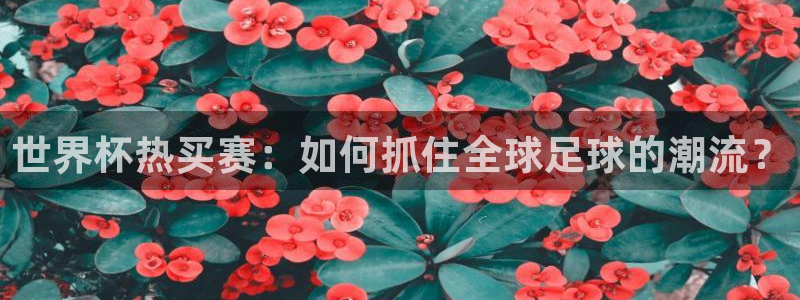 世界杯 2026：世界杯热买赛：如何抓住全球足球的潮流？
