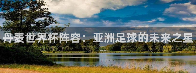 世界杯亚洲区预选赛：丹麦世界杯阵容：亚洲足球的未来之星
