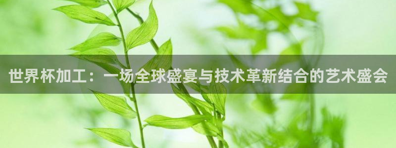 世界杯足球：世界杯加工：一场全球盛宴与技术革新结合的艺术盛会