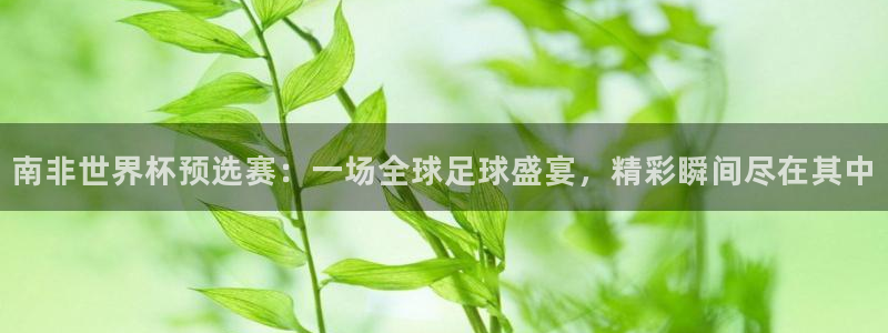免费足球比赛直播高清：南非世界杯预选赛：一场全球足球盛宴，精彩瞬间尽在其中