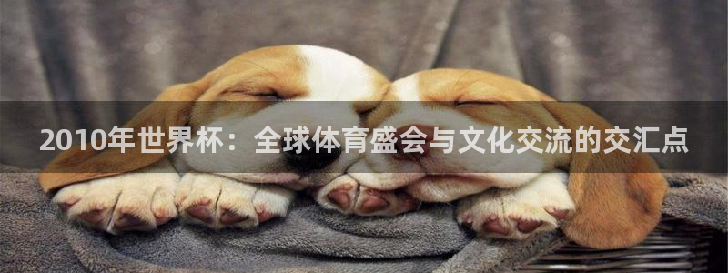 澳门世界杯直播：2010年世界杯：全球体育盛会与文化交流的交汇点