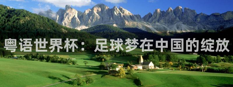世界杯足球2026：粤语世界杯：足球梦在中国的绽放