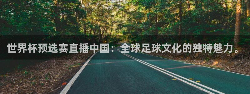 世界杯预选赛直播：世界杯预选赛直播中国：全球足球文化的独特魅力。