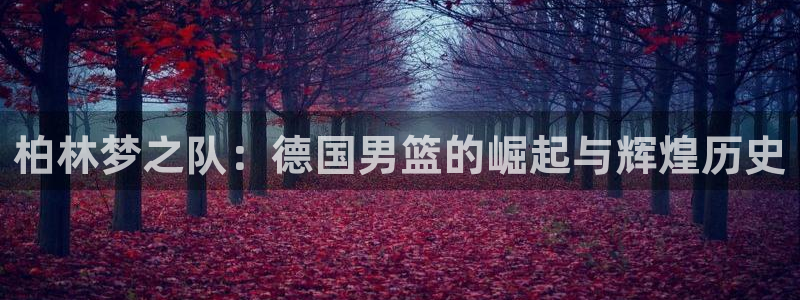 亚洲区世界杯预选赛：柏林梦之队：德国男篮的崛起与辉煌历史