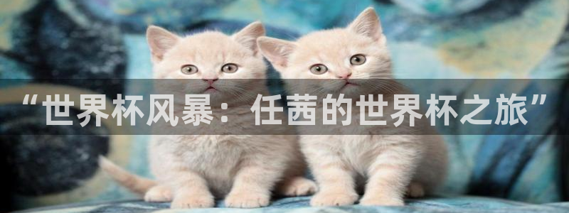 世界杯赛程2026：“世界杯风暴：任茜的世界杯之旅”