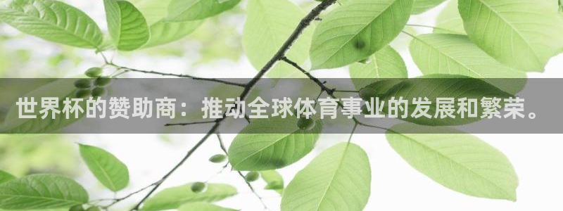 世界杯预选赛欧洲赛区积分榜：世界杯的赞助商：推动全球体育事业的发展和繁荣。