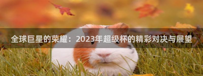 世界直播：全球巨星的荣耀：2023年超级杯的精彩对决与展望