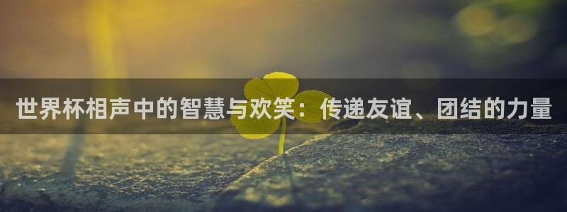 世界杯系列赛：世界杯相声中的智慧与欢笑：传递友谊、团结的力量