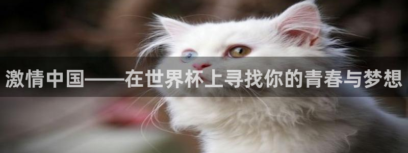 欧联杯直播：激情中国——在世界杯上寻找你的青春与梦想