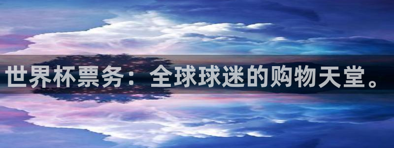 足球世预赛：世界杯票务：全球球迷的购物天堂。